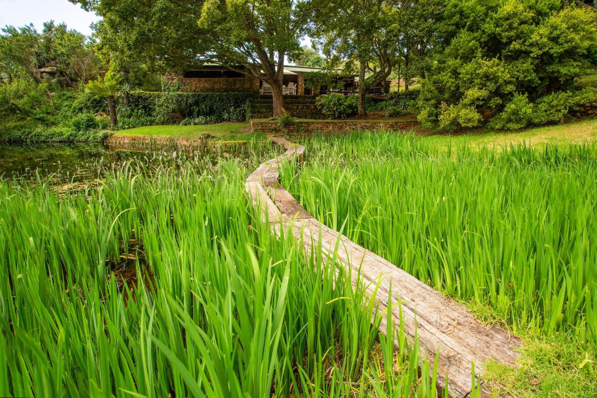 Paardeplaats Nature Retreat Rhenosterhoek 외부 사진